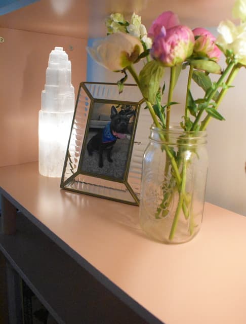 A framed photo of Kaci's dog wearing a blue bandana, on an office shelf beside a lamp and a jar of fresh peonies